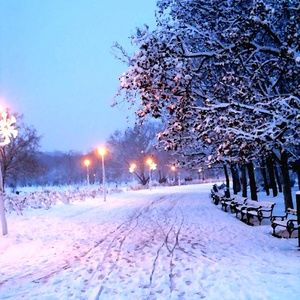 Meet your Posher, Barbara